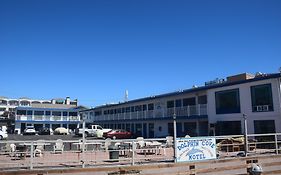 Dolphin Cove Motel